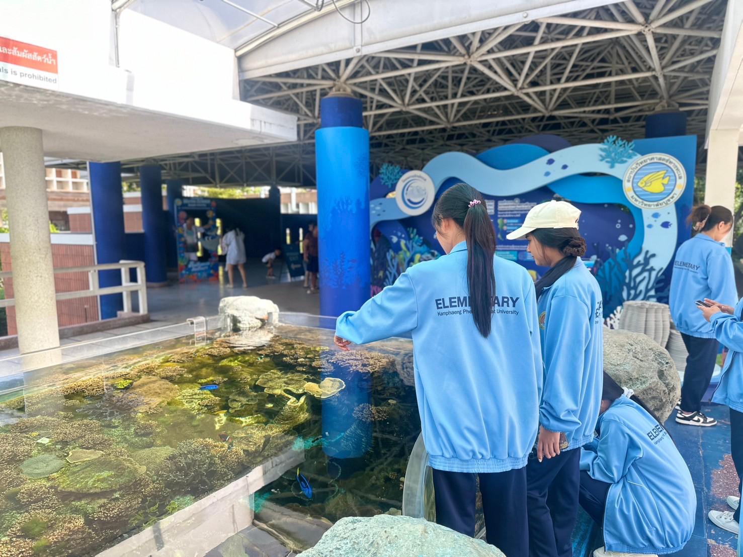 4. 20.11.2567 | นักศึกษา รหัส 65 ศึกษาดูงานแหล่งเรียนรู้ธรรมชาติสัตว์น้ำ "สถาบันวิทยาศาสตร์ทางทะเล มหาวิทยาลัย " ระหว่างวันที่ 21-22 พฤศจิกายน 2567